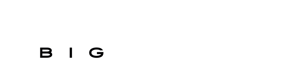 Big Festival The Largest Gaming Festival In The World